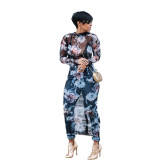 Women's Fashion and Sexy See-Through Stretch Mesh Print Maxi Dress