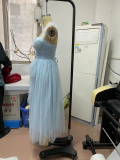 Women's Tailor Mesh Formal Party Princess Dress
