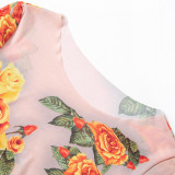 Women's Summer Sexy See-Through Mesh Long Sleeve Slim Print Dress