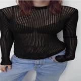 Women Long Sleeve Round Neck Knitting See-Through Top