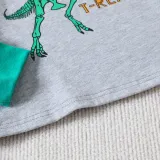 Autumn Boys Homewear Set Children's Cartoon Dinosaur Print Long-Sleeved Two-Piece Pajama Set