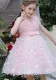 Girls Summer Mesh Princess Dress Butterfly Embroidery Mesh Dress Children's Flower Girl Show Dress