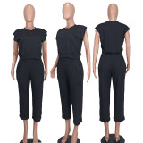 Women's Clothing Fashion Casual Solid Two Piece Pants Set