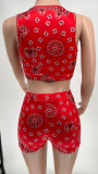 Women Summer Print Sleeveless Top and Casual Shorts Two-Piece Set