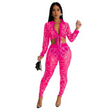 Women's Fashion Solid Color Mesh Beaded Long Sleeve Trousers Two-Piece Set