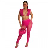 Women's Clothing Sexy Slim Solid Color Top and Mesh Pants Two-piece Set