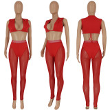 Women's Clothing Sexy Slim Solid Color Top and Mesh Pants Two-piece Set