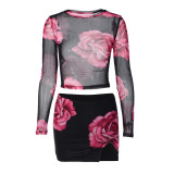 Fashion two-piece sexy mesh long-sleeved top slim-fit short slit printed skirt set
