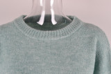 Women Solid knitting Basic sweater