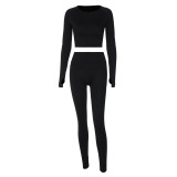 Women Summer Stretch Sport Long Sleeve Top and Yoga Pants Two-Piece Set