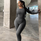 Women Summer Stretch Sport Long Sleeve Top and Yoga Pants Two-Piece Set