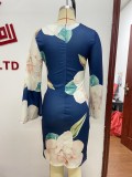 Women Printed Sleeve Dress