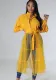 Women's Long Shirt Casual Women's Autumn Fashion Long Sleeve Shirt