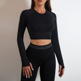 Long-Sleeved Yoga Top Slim Fitted Trousers Fitness Top Knitting Yoga Clothing