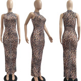 Sexy See-Through Leopard Print Beach Mesh Dress
