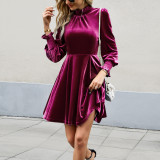 Fleece Dress Autumn Winter Chic Elegant Velvet Dress