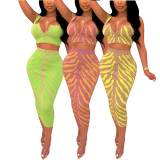 Women Sexy Print Zippered Crop Top and Skirt Two-Piece Set