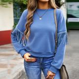 Women's Fall Winter Casual Simple Round Neck Long Sleeve T-Shirt Top