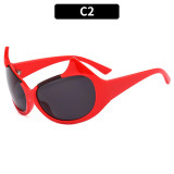 Fashion Catwalk Sunglasses