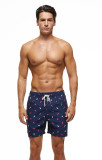 Printed Shorts Summer Quick Dry Casual Loose Sport Holidays Men's Beach Shorts