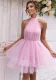 Sexy Low Back Halter Neck A-Line Party Dress
