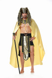 Halloween Style Egyptian Pharaoh Golden King Long Cape Mythical Cosplay Costume