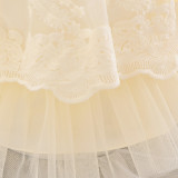 Children's dress fluffy yarn Cascading Ruffles Dress princess dress flower girl first birthday baby Dress
