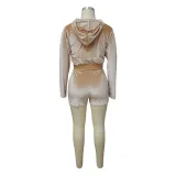 Women's Autumn Solid Velvet Hooded Long Sleeve Tight Fitting Two Piece Tracksuit