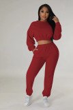 Women Casual Solid Long Sleeve Top and Pant Two-Piece Set
