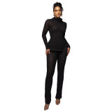 Women Solid Turtleneck Long Sleeve Top and Pant Casual Two-Piece Set