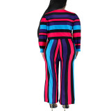 Plus Size Women's Fall Round Neck Long Sleeve Stripe Two Piece Pants Set