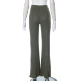 WomenCasual Solid High Rise Flare Pant
