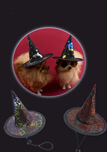 Halloween Pet Hat Witch Hat Pumpkin Funny Dog Pet Party Supplies