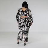 Plus Size Women Autumn Zebra Print Two-Wear Long Sleeve Dress