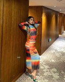 Multi-Color Printed Mesh Long-Sleeved Slim-Fitting Beach Dress
