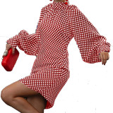 Spring And Autumn Fashionable Polka Dot Print Dress For Women