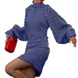 Spring And Autumn Fashionable Polka Dot Print Dress For Women