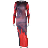 Trendy Women Street Fashion Printed Round Neck Pullover Long Sleeve Bodycon Casual Dress