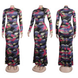 Sexy Printed Stretch Round Neck Long Sleeve Bodycon Tight Fitting Mermaid Long Dress