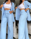 Women Solid Turndown Collar Blazer+ Pants Two-piece Set