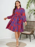 Autumn Dress Printed Long Sleeve V Neck Plus Size Women's Dress
