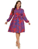Autumn Dress Printed Long Sleeve V Neck Plus Size Women's Dress