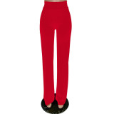 Autumn sexy fashionable back zipper straight trousers for women
