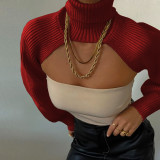Fall and Winter Women Lantern Sleeve Turtleneck Solid Sweater