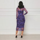 Women Sexy Suspender See-Through Mesh Printed Long Sleeve Dress Two-piece Set
