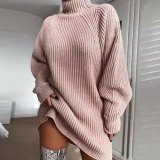Women autumn and winter knitting raglan sleeve turtleneck sweater dress