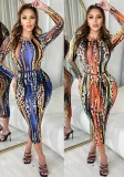 Women Sexy Long Sleeve Printed Dress