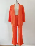 Women Solid long-sleeved shirt and pleated elastic waist trousers two-piece set