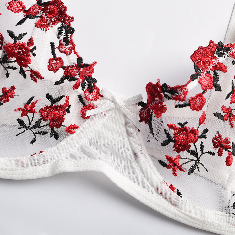 Bra and Panty Sets for Women, Women's Floral Embroidery 2 Piece