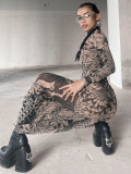 Women's Fall Fashion Mesh Print See-Through High Neck Slim Fit Dress For Women